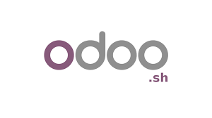 Business Analysis - Implementación Odoo
